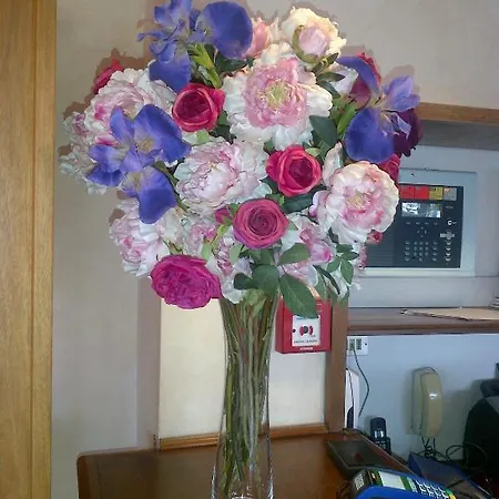 فندق Barberino